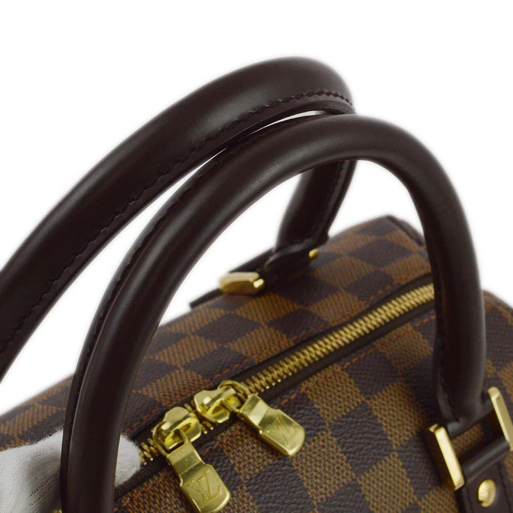 Louis Vuitton 2005 Damier Rivera MM Handbag N41434