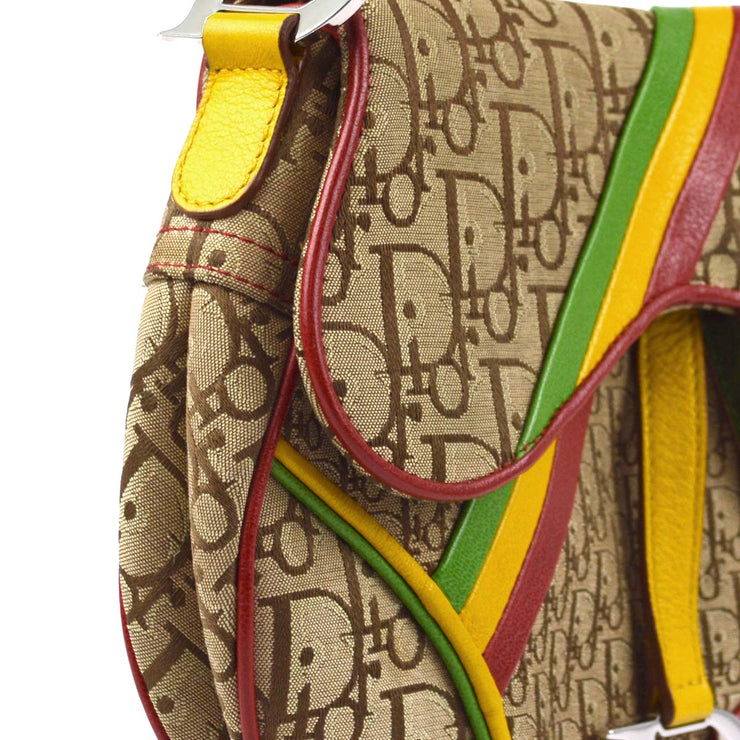 Christian Dior 2004 Rasta-Color Trotter Saddle Handbag