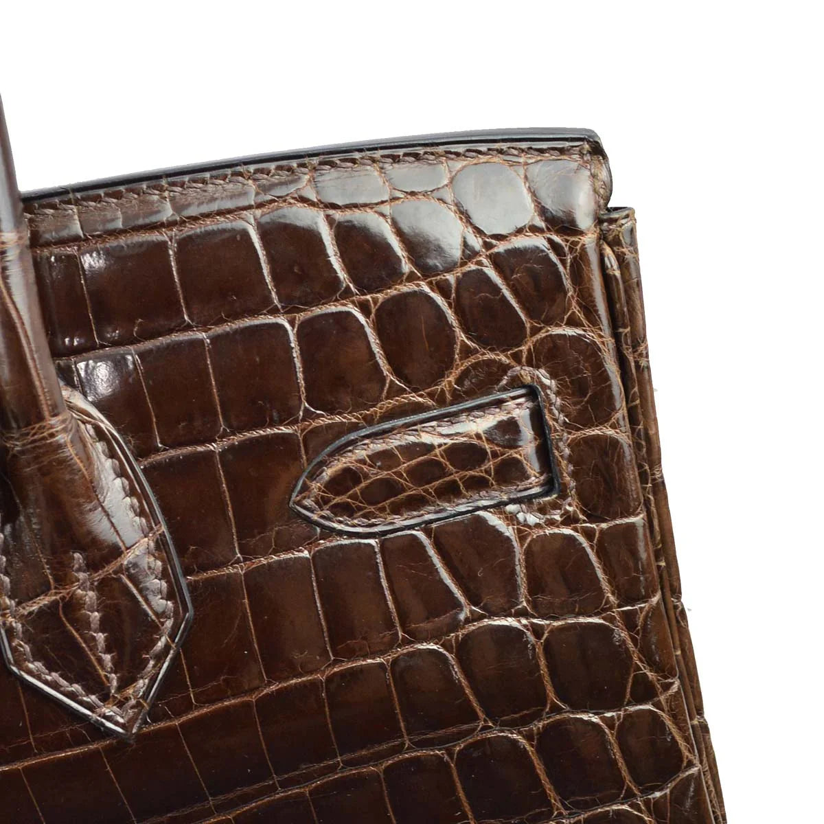 Hermes * 2008 Cocaon Niloticus Birkin 30 Handbag