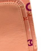 Chanel 2001-2003 Pink Coco Classic Double Flap Medium Shoulder Bag