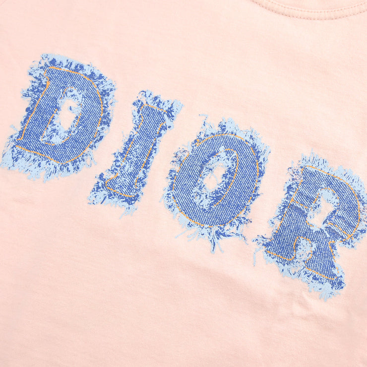 Christian Dior T-shirt Pink #38