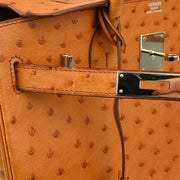 Hermes * 2006 Chestnut Ostrich Birkin 30 Handbag