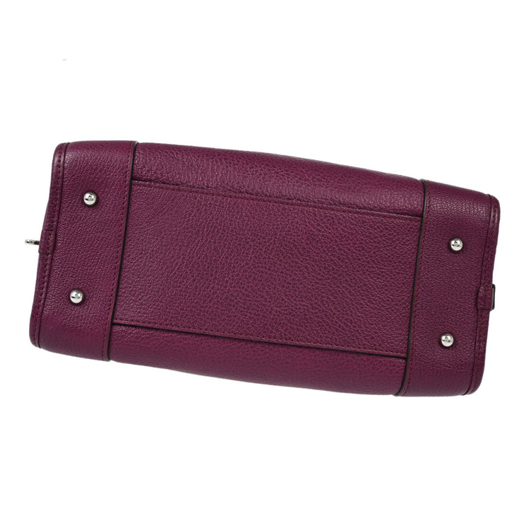 Loewe Purple Amazona 28 Handbag