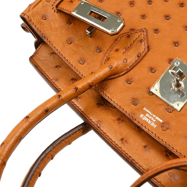 Hermes * 2008 Chestnut Ostrich Birkin 30 Handbag
