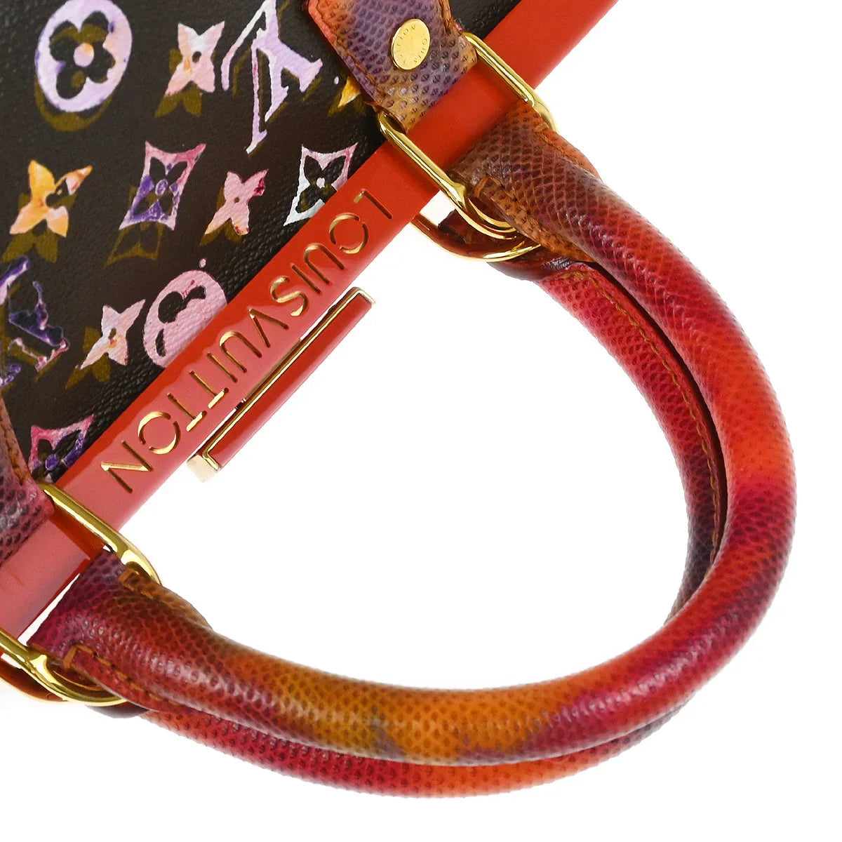 Louis Vuitton * 2008 Watercolor Papillon Handbag M95730
