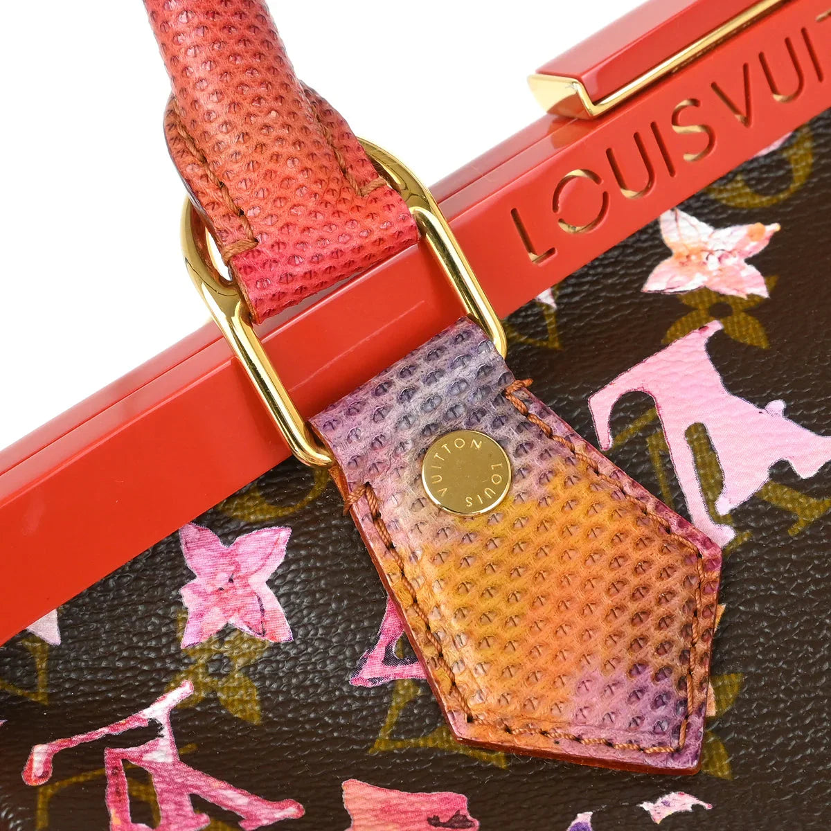 Louis Vuitton * 2008 Watercolor Papillon Handbag M95730