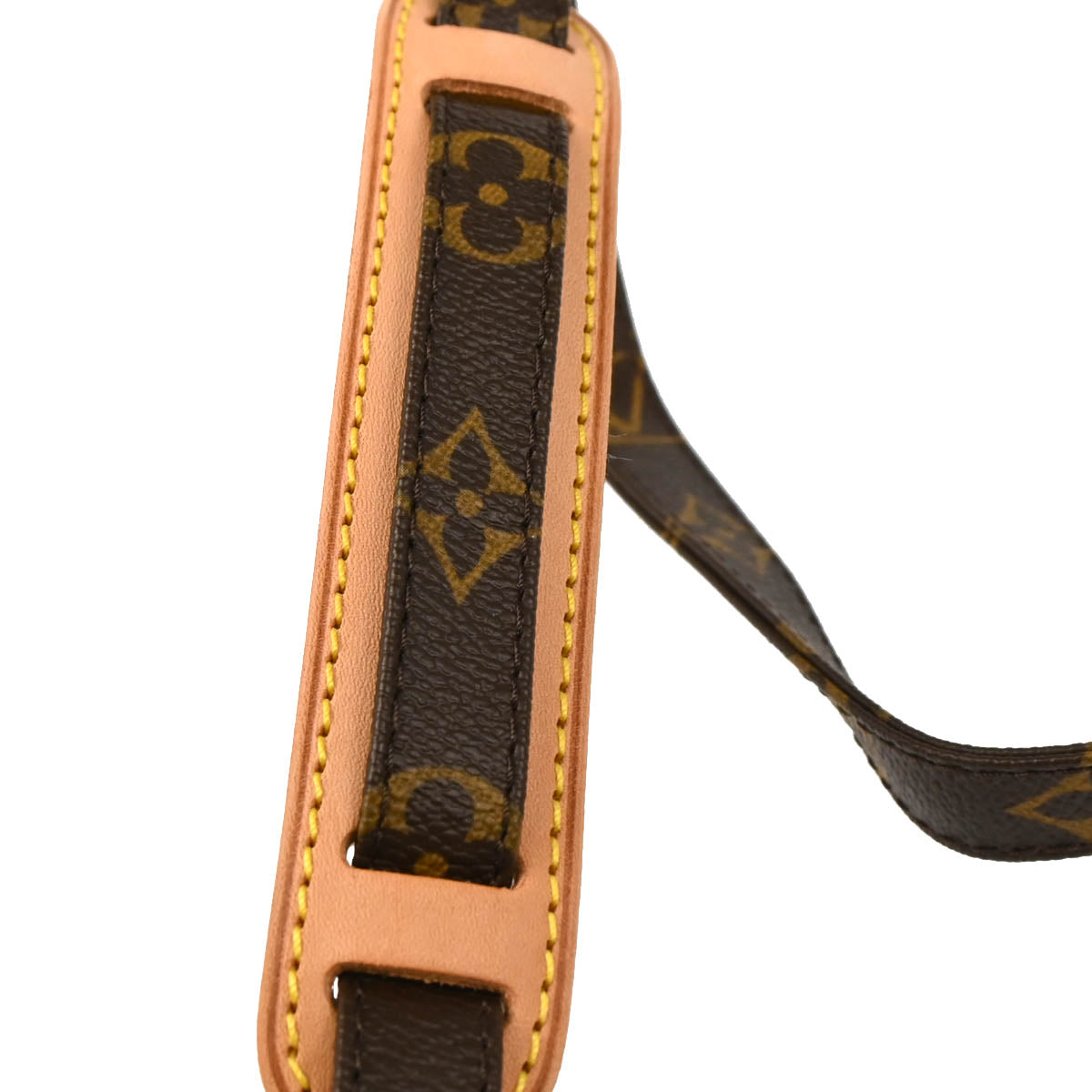 Louis Vuitton 2010 Monogram Amazon Crossbody Bag M45236