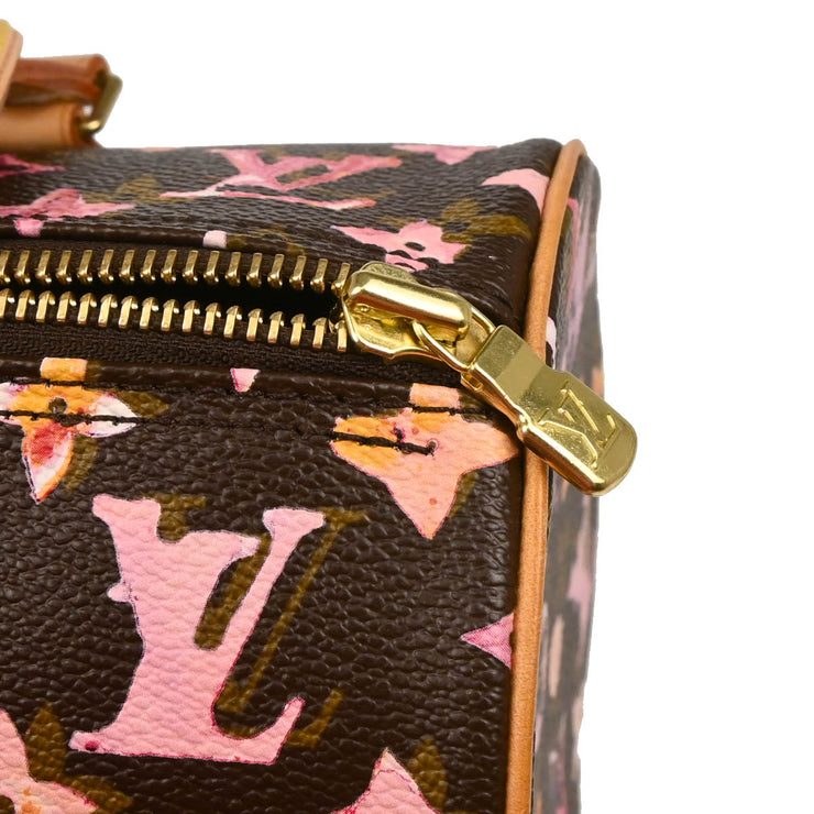 Louis Vuitton 2008 Monogram Watercolor Papillon 30 Handbag M95753