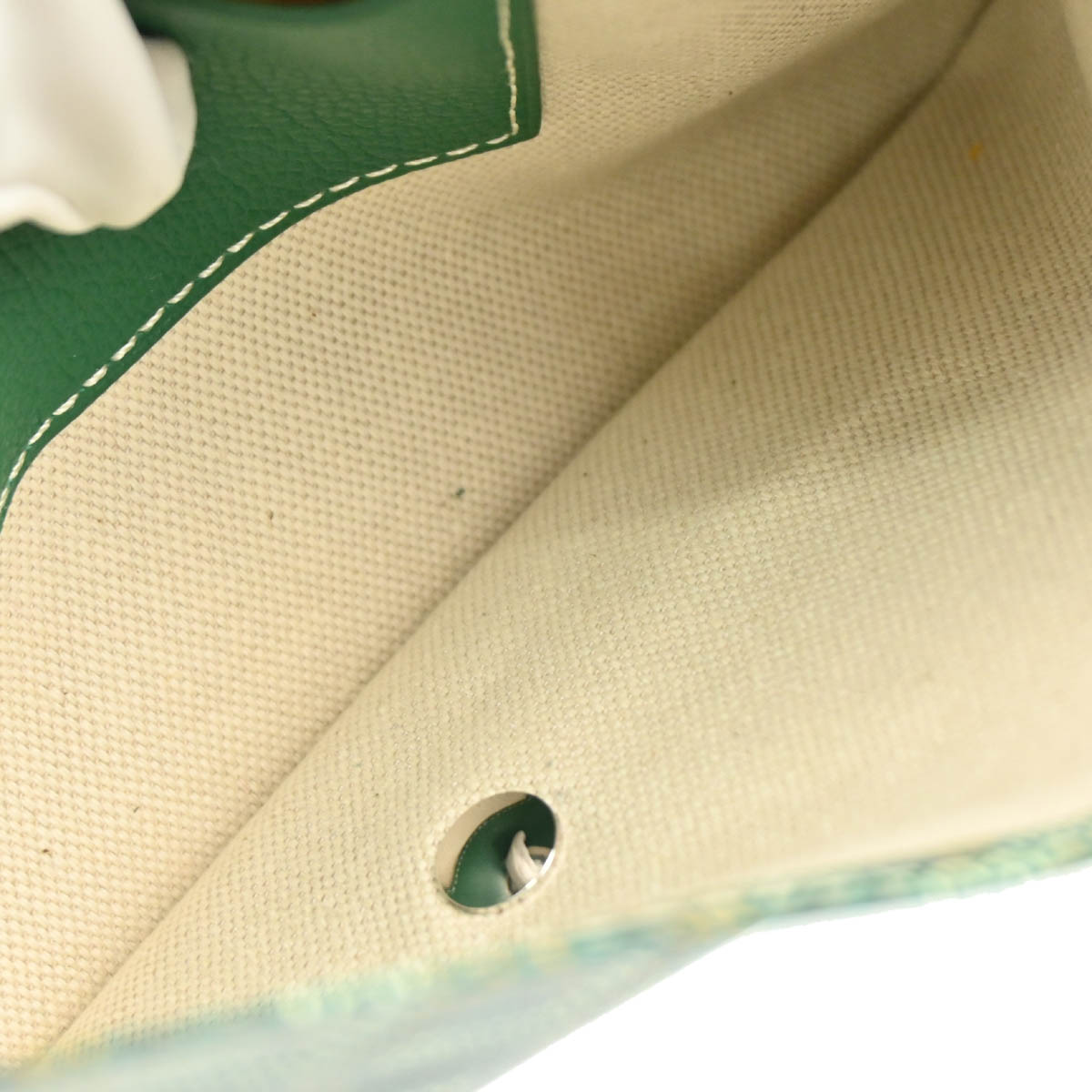 Goyard 2018 Green Plumet Shoulder Bag Pochette Wallet