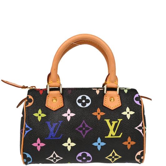 Louis Vuitton Multicolor Mini Speedy Handbag M92644