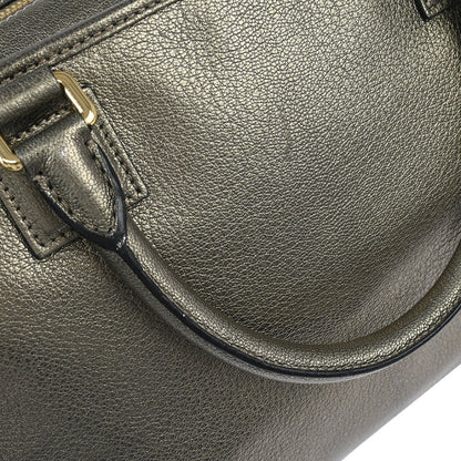 Loewe 2012 Gold Amazona 36 Handbag