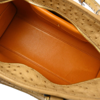 Loewe * 2013 Beige Ostrich Amazona 28 Handbag