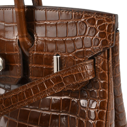 Hermes * 2009 Miel Porosus Birkin 30 Handbag