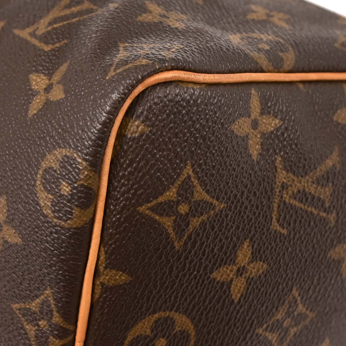 Louis Vuitton Monogram Speedy 25 Handbag M41528