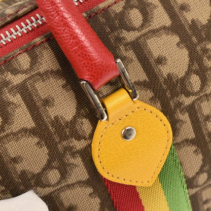 Christian Dior Brown Rasta-Color Trotter Handbag