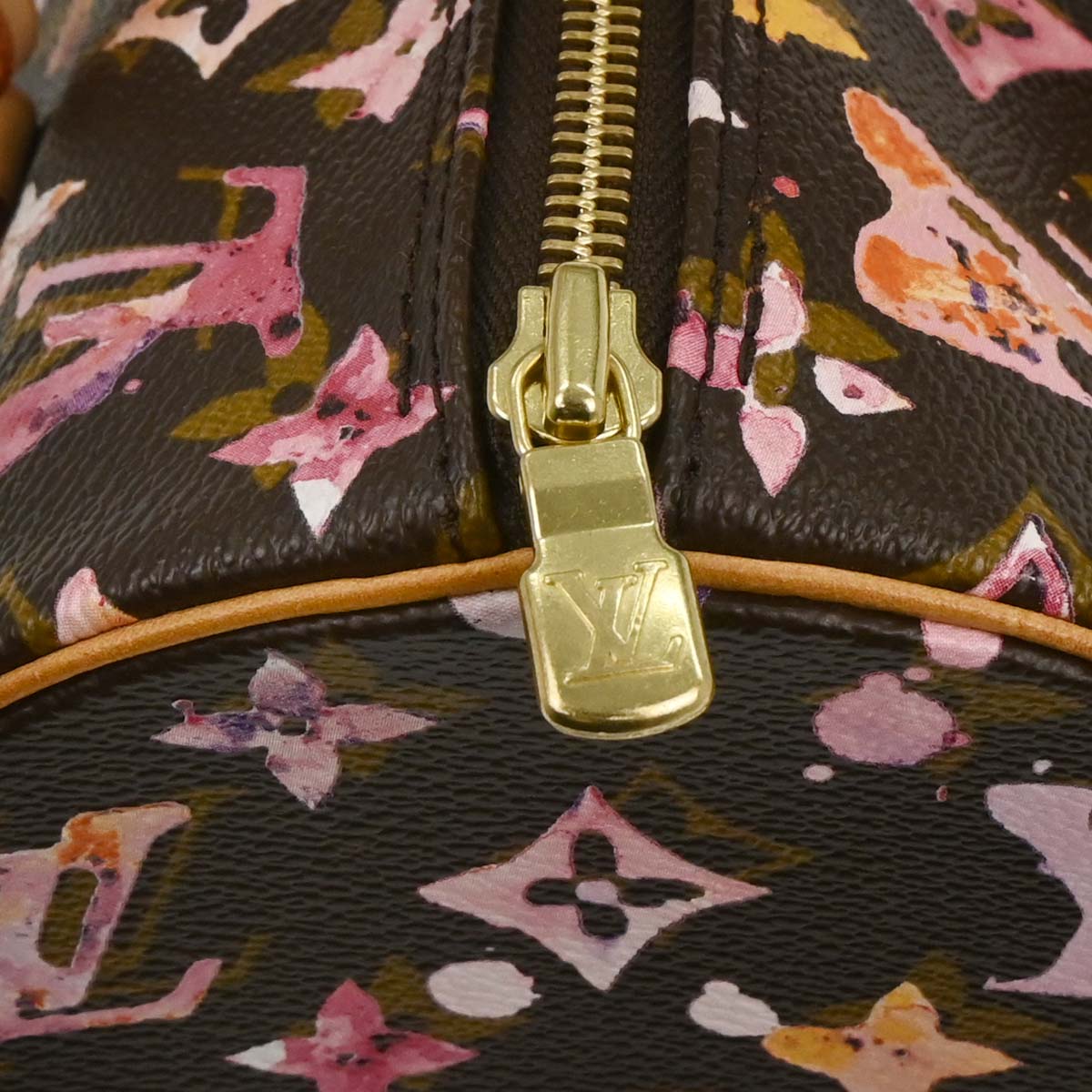 Louis Vuitton 2008 Monogram Watercolor Papillon 30 Handbag M95753