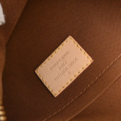 Louis Vuitton 2009 Monogram Thames PM Hobo Handbag M56384