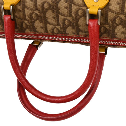 Christian Dior Brown Rasta-Color Trotter Handbag
