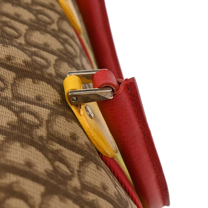 Christian Dior Brown Rasta-Color Trotter Handbag