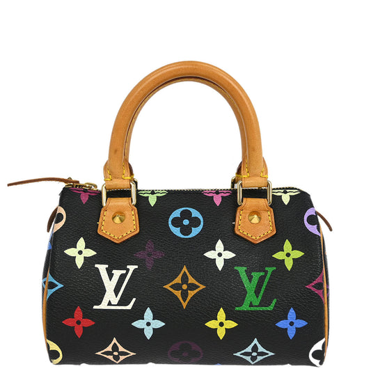 Louis Vuitton Multicolor Mini Speedy Handbag M92644