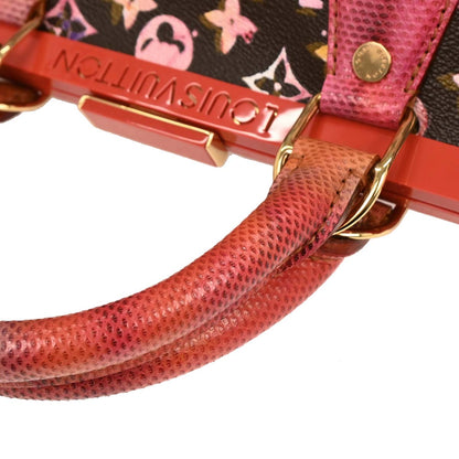 Louis Vuitton * 2008 Monogram Watercolor Papillon Frame M95730