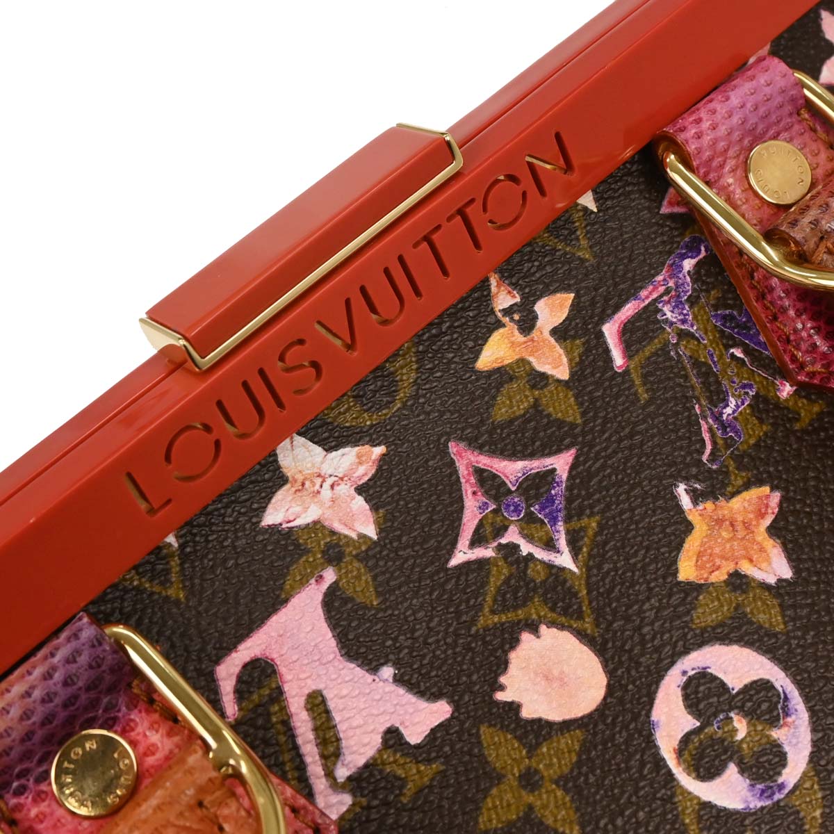 Louis Vuitton * 2008 Monogram Watercolor Papillon Frame M95730