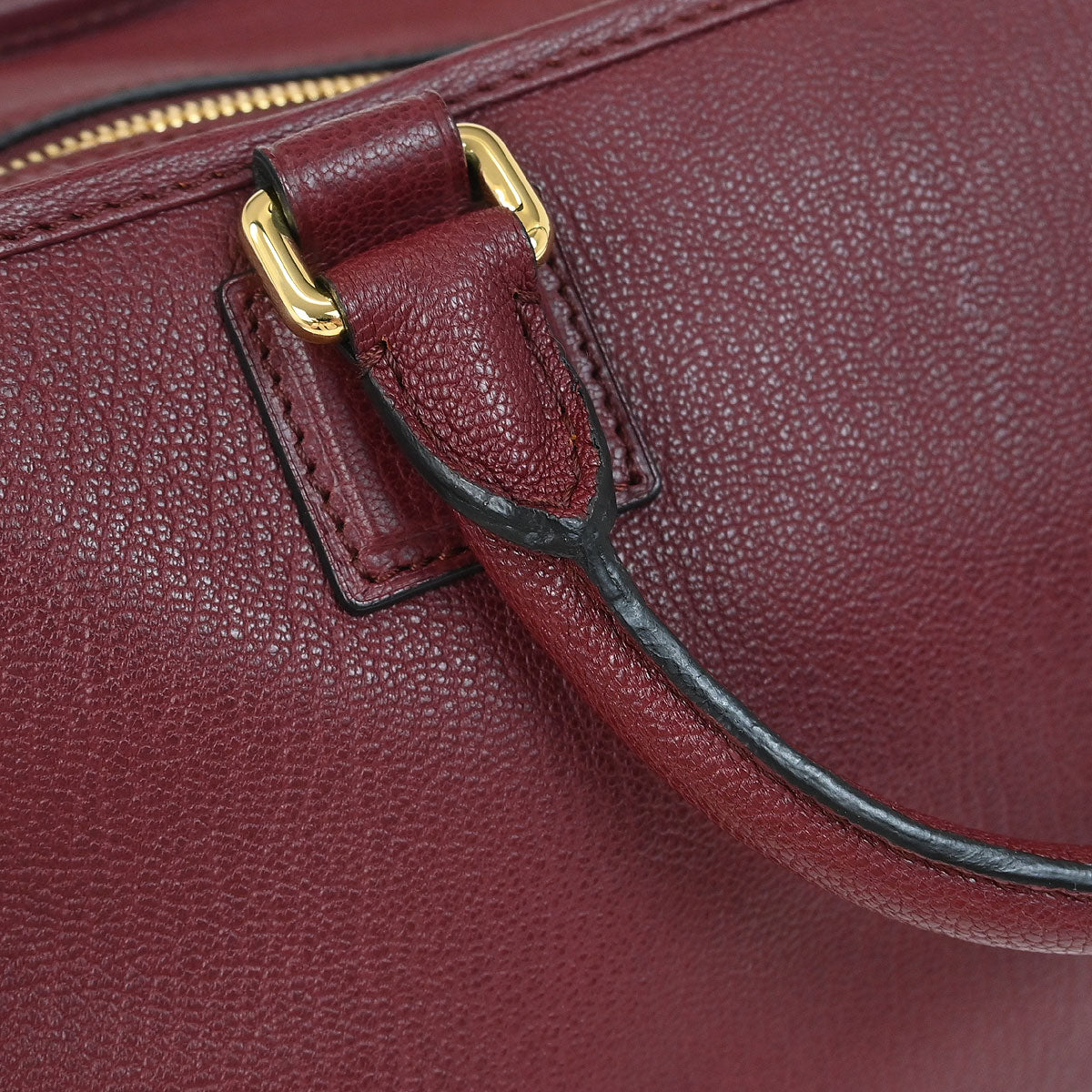 Loewe Bordeaux Amazona 28 Handbag