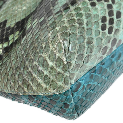 Christian Dior * 2000 Python Malice Handbag