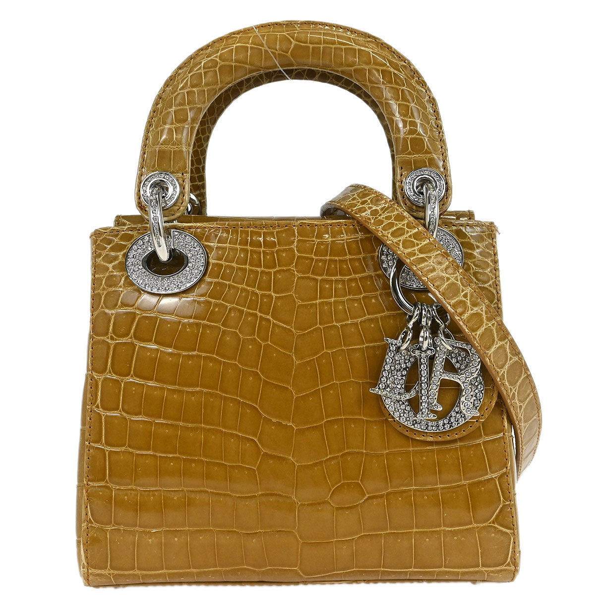 Christian Dior * 2007 Crocodile Lady Dior Handbag