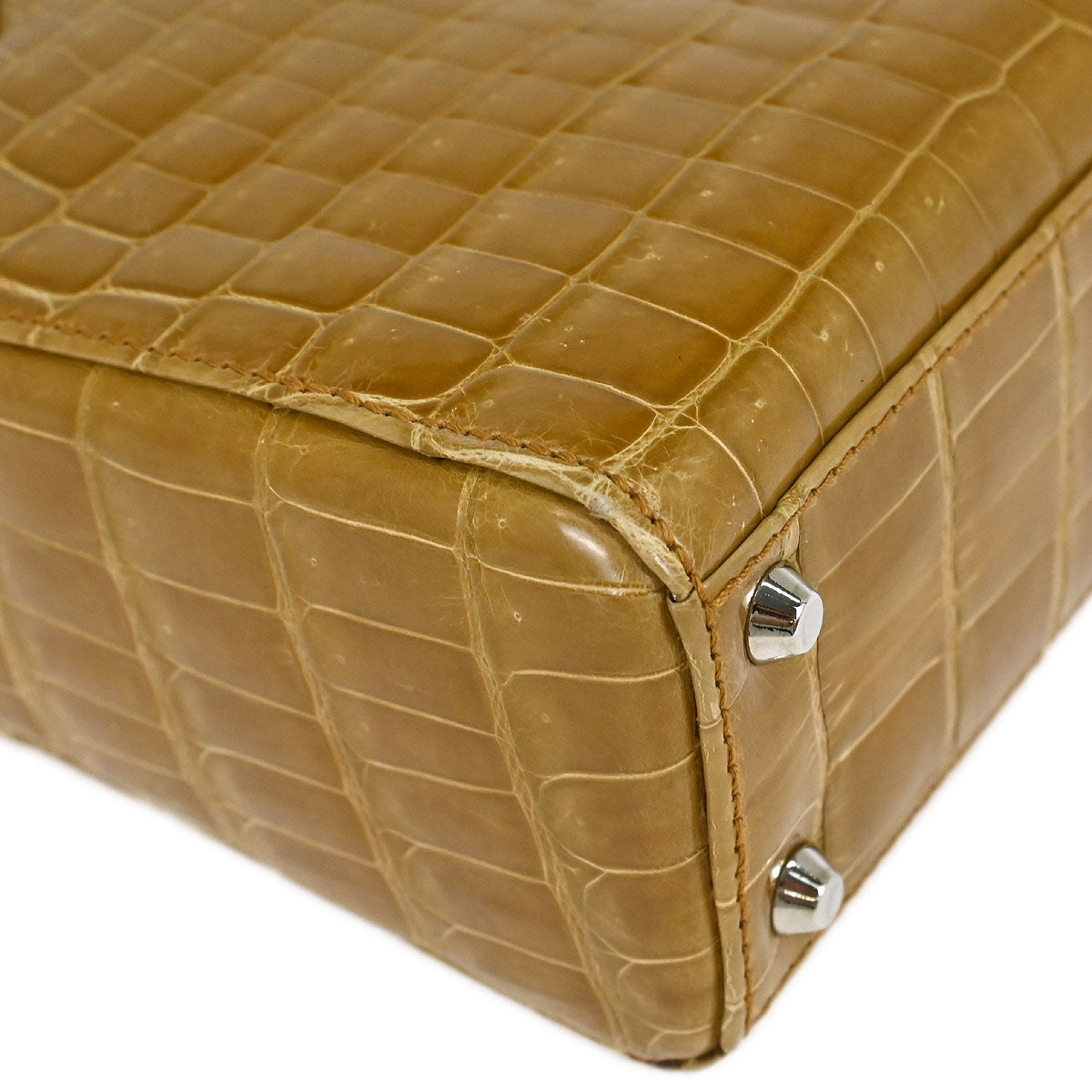 Christian Dior * 2007 Crocodile Lady Dior Handbag