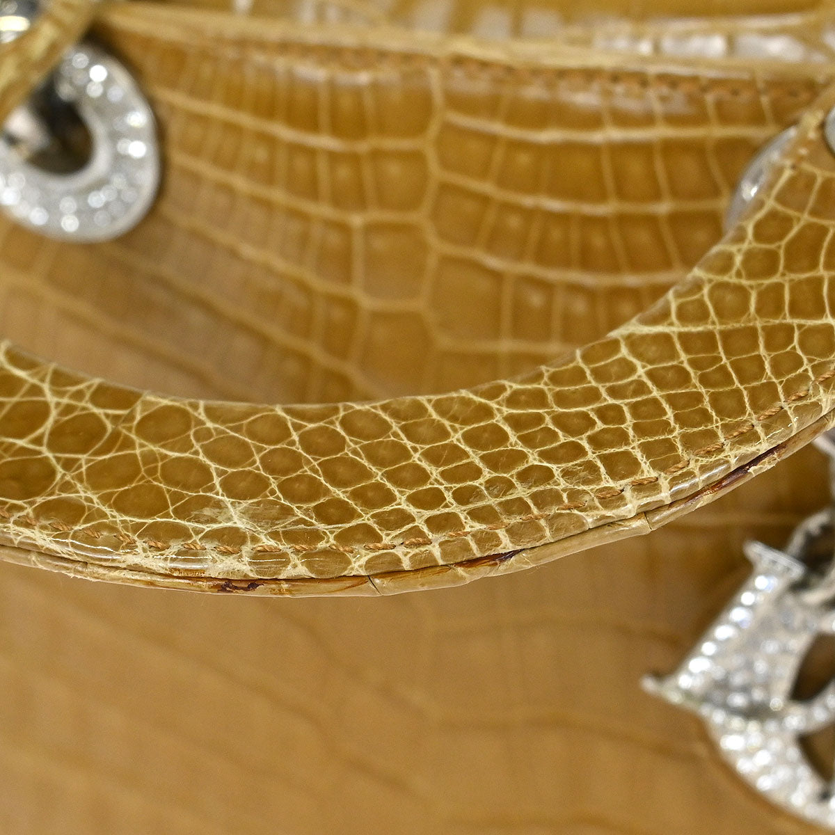 Christian Dior * 2007 Crocodile Lady Dior Handbag