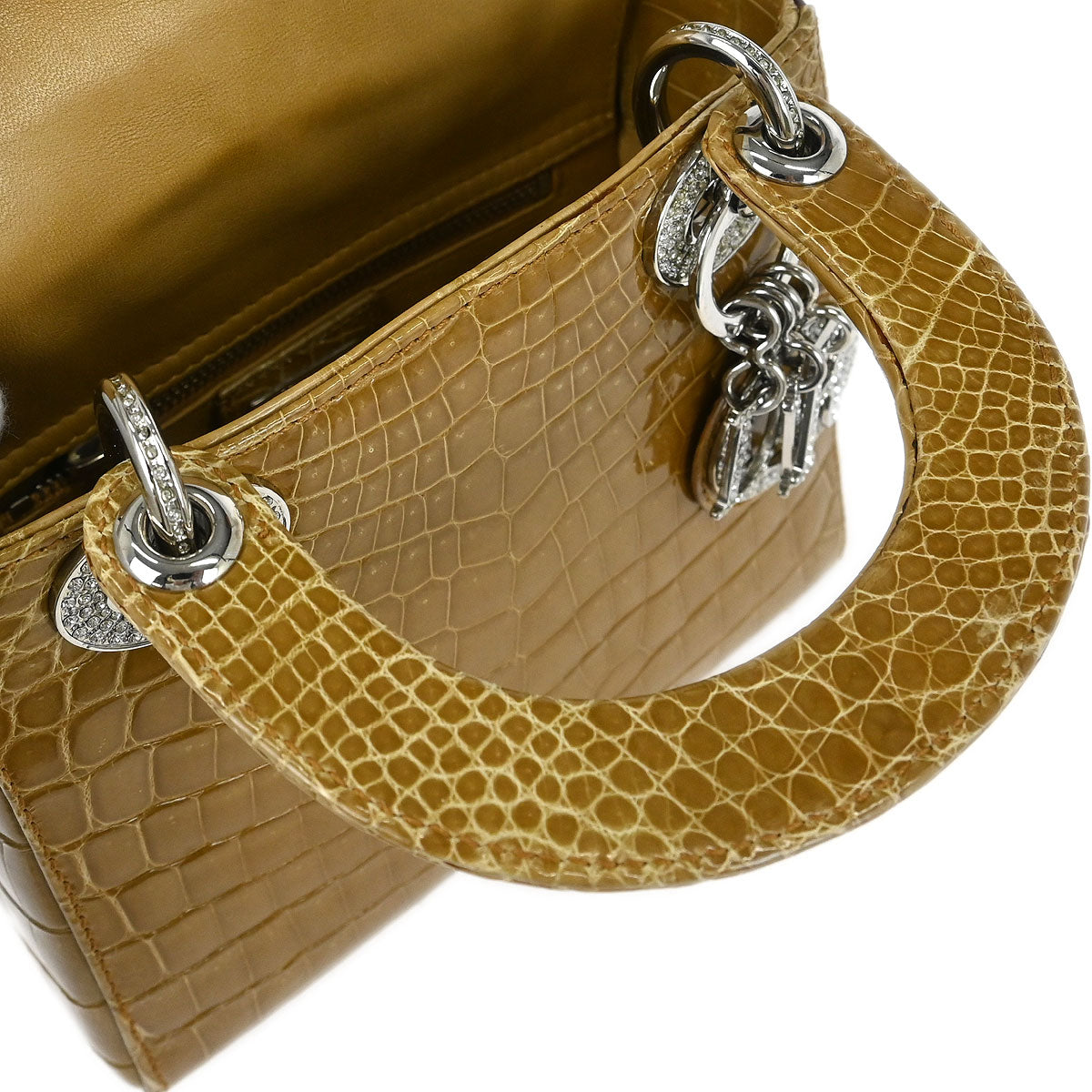 Christian Dior * 2007 Crocodile Lady Dior Handbag