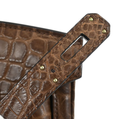Hermes * Cacao Matte niloticus Crocodile Birkin 30 Handbag