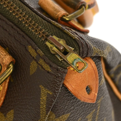 Louis Vuitton Monogram Mini Speedy Handbag