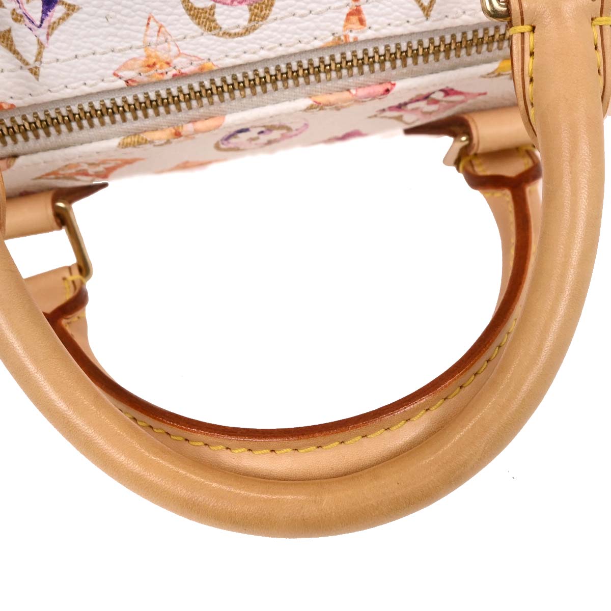 Louis Vuitton Monogram Watercolor Speedy 30 Handbag M95751