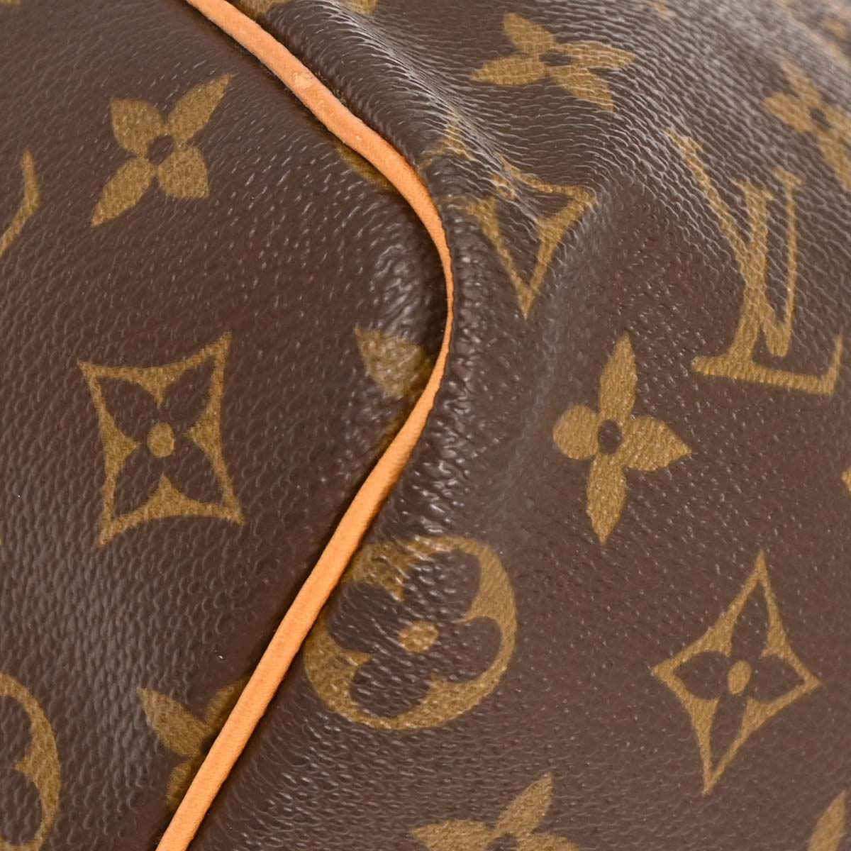 Louis Vuitton Monogram Speedy 25 Handbag M41528