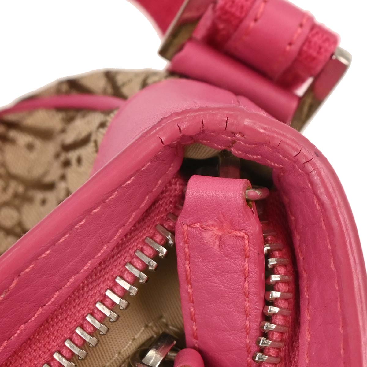 Christian Dior Beige Trotter Handbag