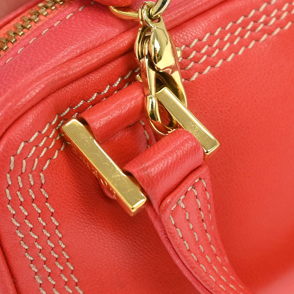 Loewe * Pink Leather Mini Amazona Contenedor Pouch Bag