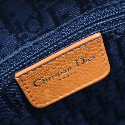 Christian Dior Blue Embroidery Detective Handbag