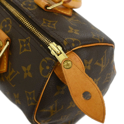 Louis Vuitton Monogram Speedy 25 Handbag M41528