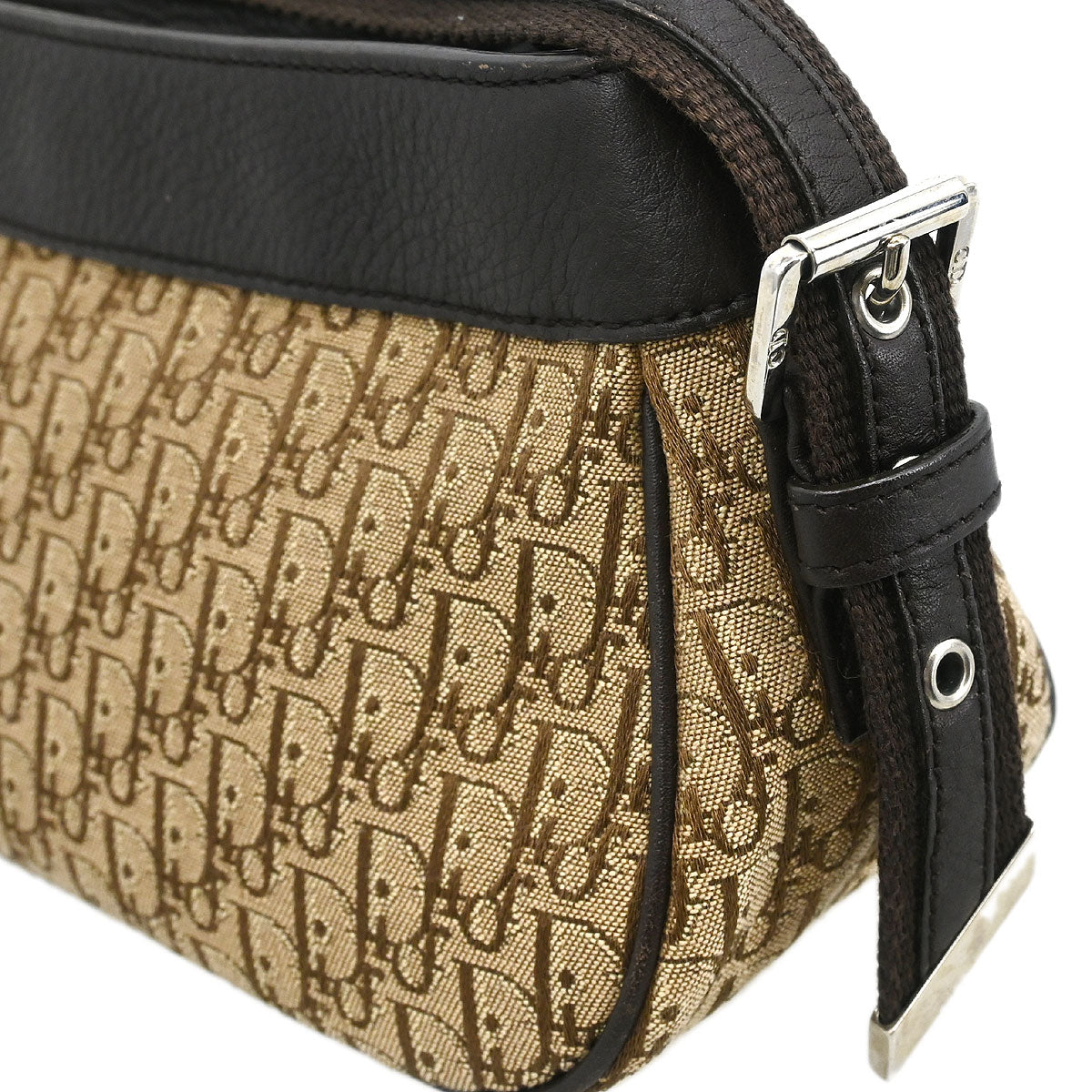 Christian Dior Beige Trotter Handbag