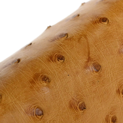 Louis Vuitton * Beige Ostrich Malesherbes Handbag