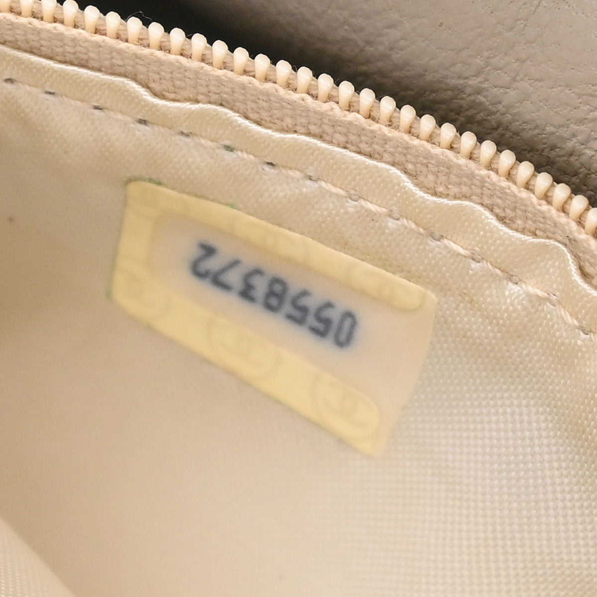 Chanel * 1986-1988 Green Lizard Camera Bag Mini