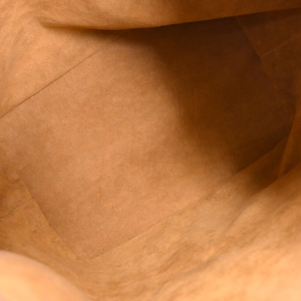 Louis Vuitton Brown Epi Noe Bucket Drawstring Shoulder Bag M44028