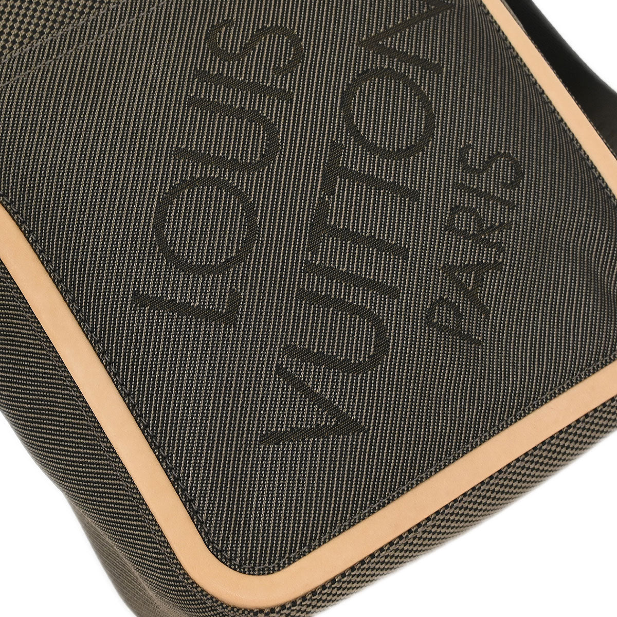 Louis Vuitton Terre Damier Geant Citadin PM Shoulder Bag M93040