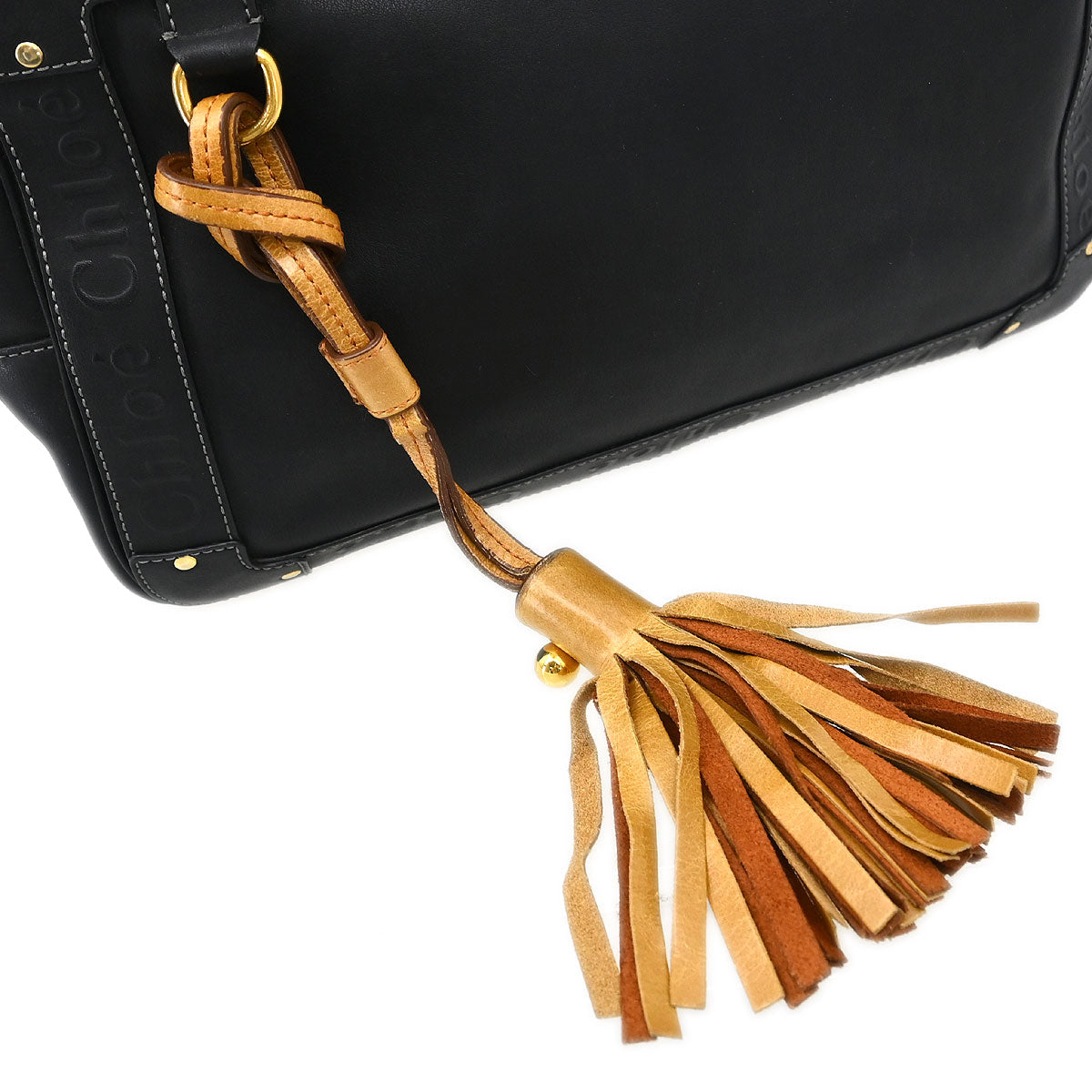 Chloe Black Leather Eden Handbag