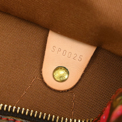 Louis Vuitton Monogram Cherry Speedy 25 Handbag M95009