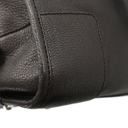 Loewe Metallic Brown Leather Amazona 28 Handbag