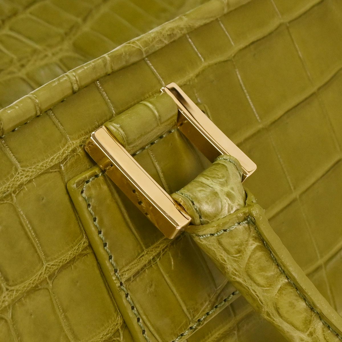 Loewe * Green Crocodile Amazona 28 Handbag