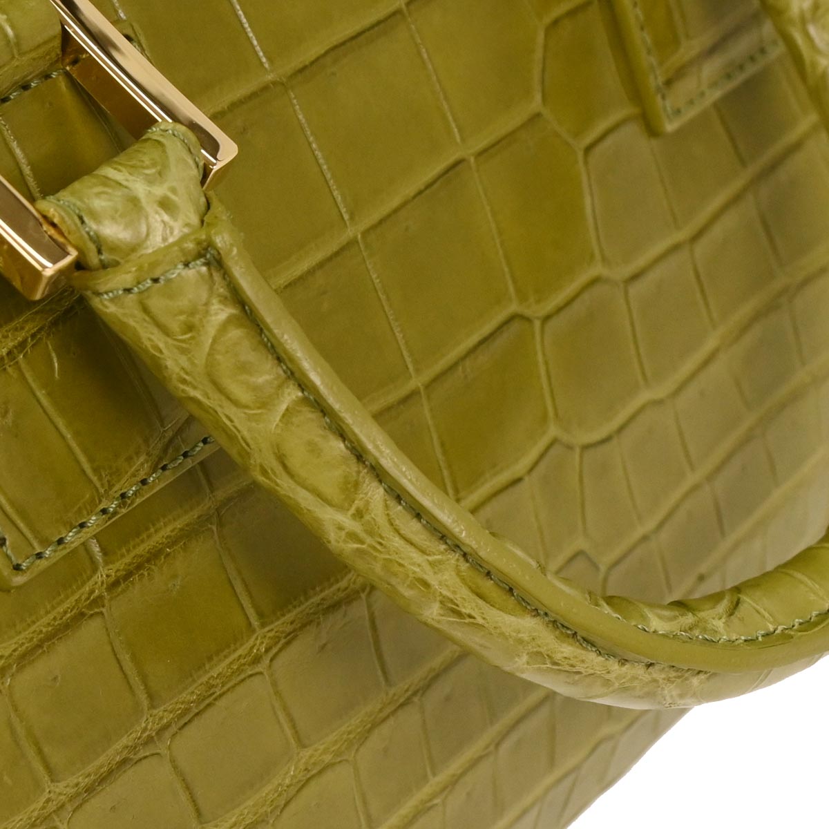 Loewe * Green Crocodile Amazona 28 Handbag